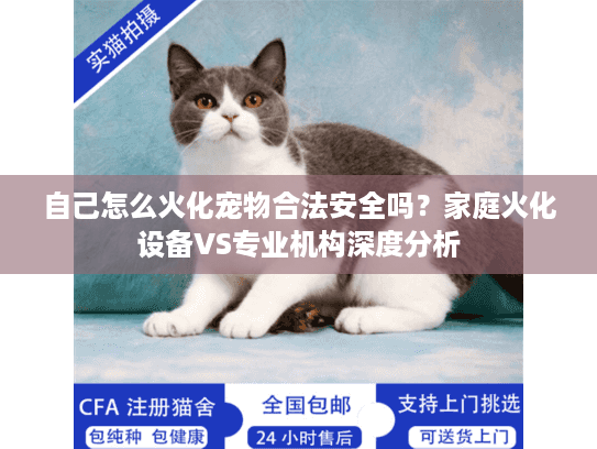自己怎么火化宠物合法安全吗？家庭火化设备VS专业机构深度分析