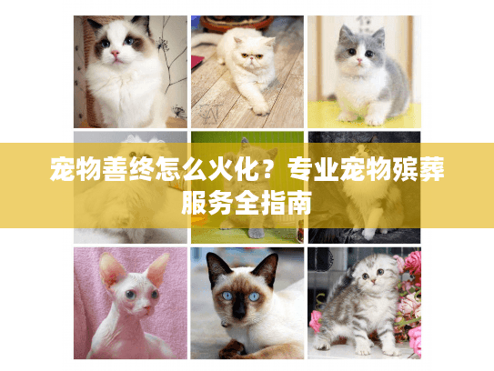 宠物善终怎么火化？专业宠物殡葬服务全指南