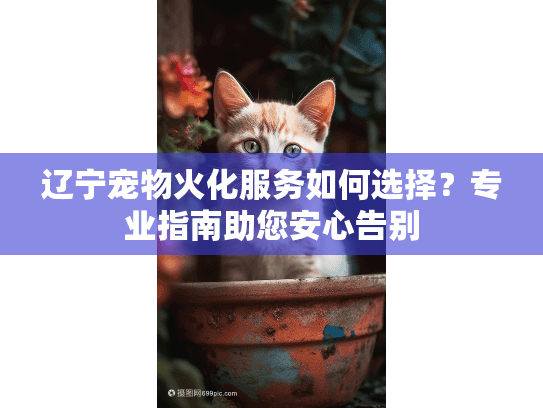 辽宁宠物火化服务如何选择？专业指南助您安心告别