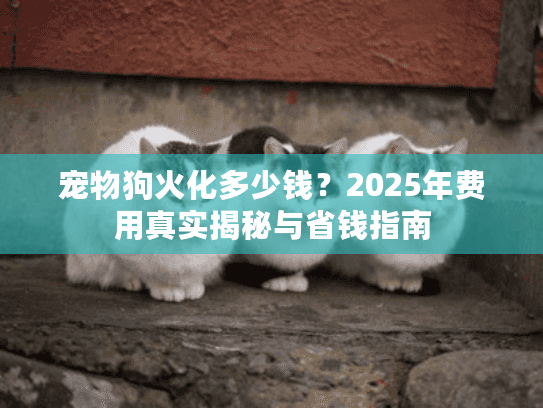宠物狗火化多少钱？2025年费用真实揭秘与省钱指南