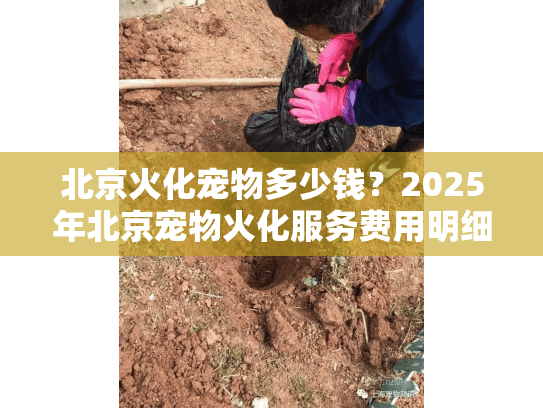 北京火化宠物多少钱？2025年北京宠物火化服务费用明细及选择指南