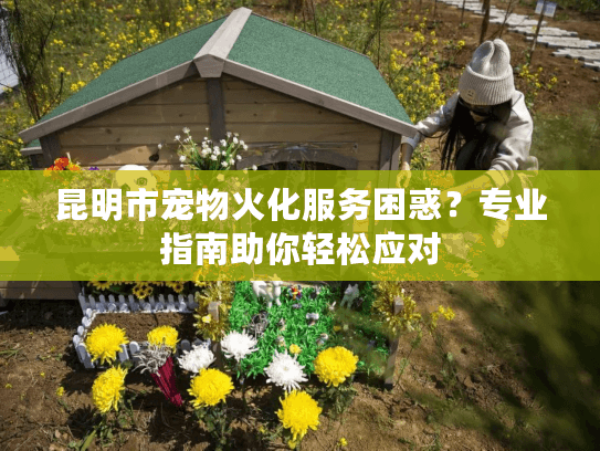 昆明市宠物火化服务困惑？专业指南助你轻松应对