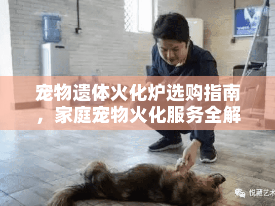 宠物遗体火化炉选购指南，家庭宠物火化服务全解析