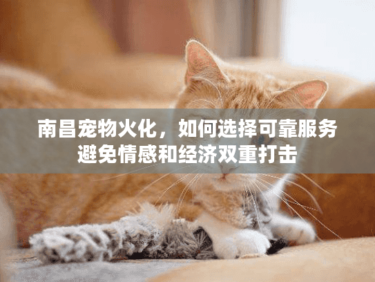 南昌宠物火化，如何选择可靠服务避免情感和经济双重打击