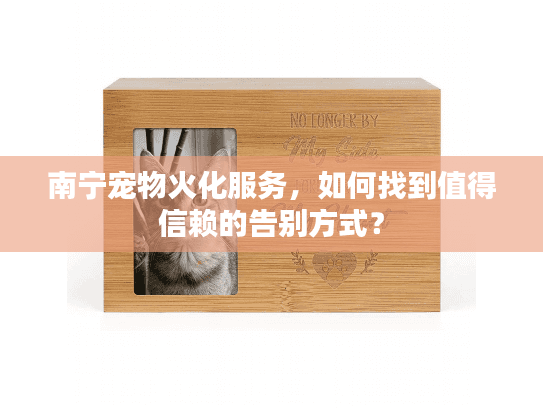南宁宠物火化服务，如何找到值得信赖的告别方式？