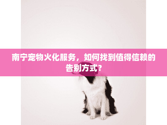 南宁宠物火化服务，如何找到值得信赖的告别方式？