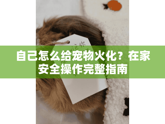 自己怎么给宠物火化？在家安全操作完整指南