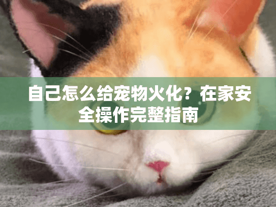 自己怎么给宠物火化？在家安全操作完整指南