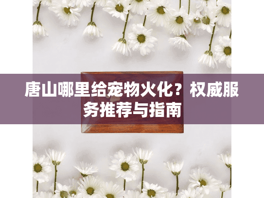 唐山哪里给宠物火化？权威服务推荐与指南