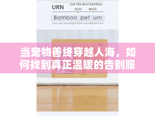 当宠物善终穿越人海，如何找到真正温暖的告别服务？