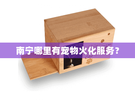 南宁哪里有宠物火化服务？