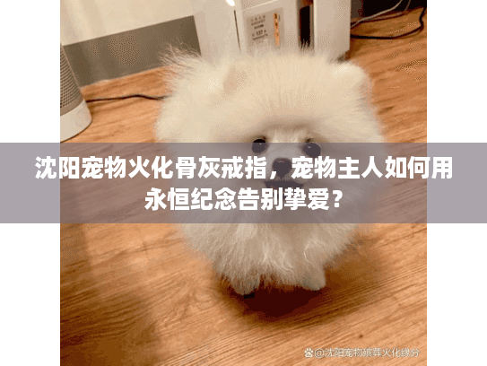 沈阳宠物火化骨灰戒指，宠物主人如何用永恒纪念告别挚爱？