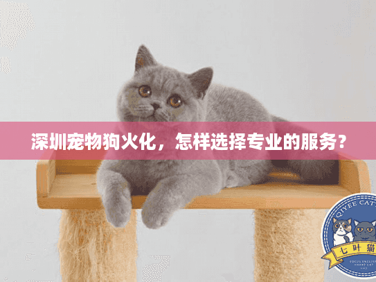 深圳宠物狗火化，怎样选择专业的服务？