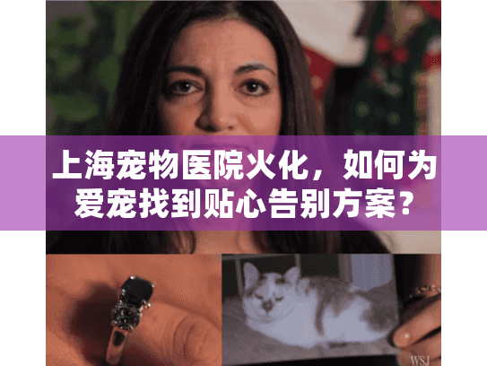 上海宠物医院火化，如何为爱宠找到贴心告别方案？