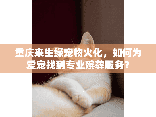 重庆来生缘宠物火化，如何为爱宠找到专业殡葬服务？