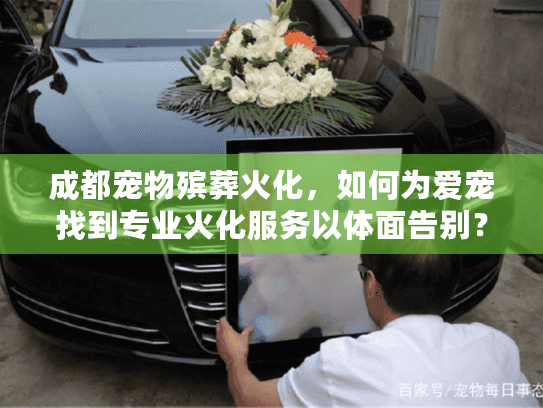 成都宠物殡葬火化，如何为爱宠找到专业火化服务以体面告别？