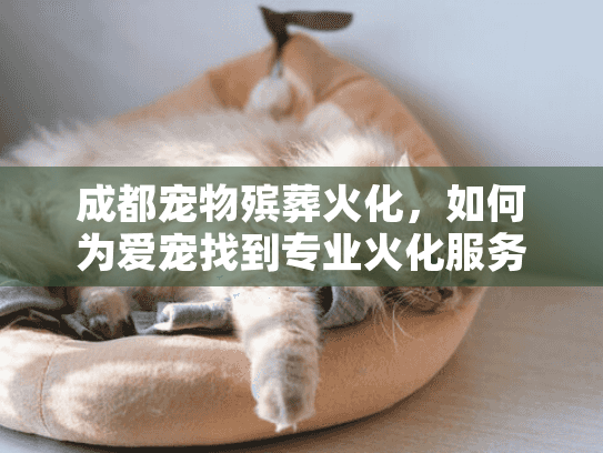 成都宠物殡葬火化，如何为爱宠找到专业火化服务以体面告别？