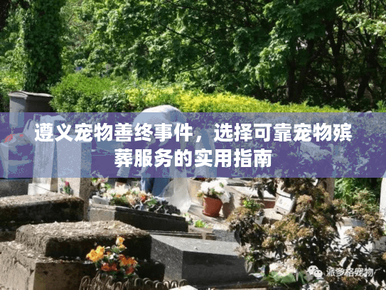 遵义宠物善终事件，选择可靠宠物殡葬服务的实用指南