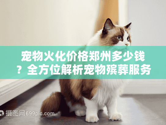 宠物火化价格郑州多少钱？全方位解析宠物殡葬服务费用