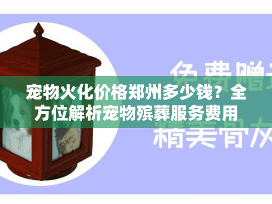 宠物火化价格郑州多少钱？全方位解析宠物殡葬服务费用