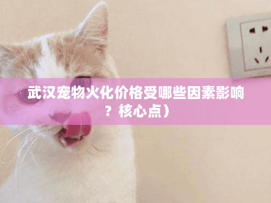 武汉宠物火化价格受哪些因素影响？核心点）