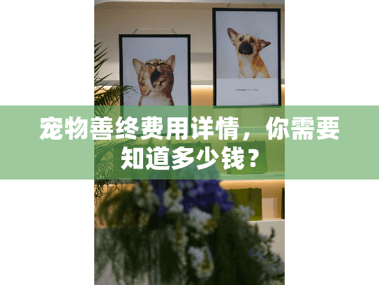 宠物善终费用详情，你需要知道多少钱？