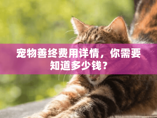 宠物善终费用详情，你需要知道多少钱？