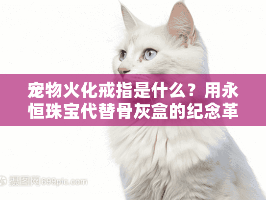 宠物火化戒指是什么？用永恒珠宝代替骨灰盒的纪念革命