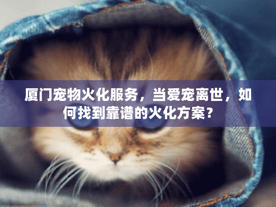 厦门宠物火化服务，当爱宠离世，如何找到靠谱的火化方案？