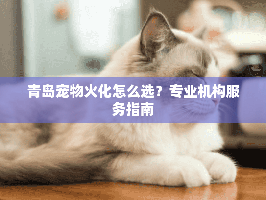 青岛宠物火化怎么选？专业机构服务指南