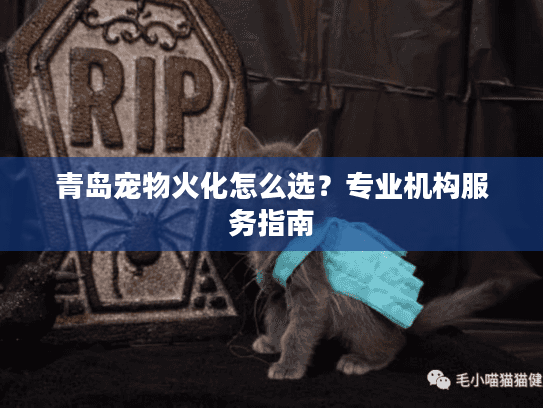 青岛宠物火化怎么选？专业机构服务指南