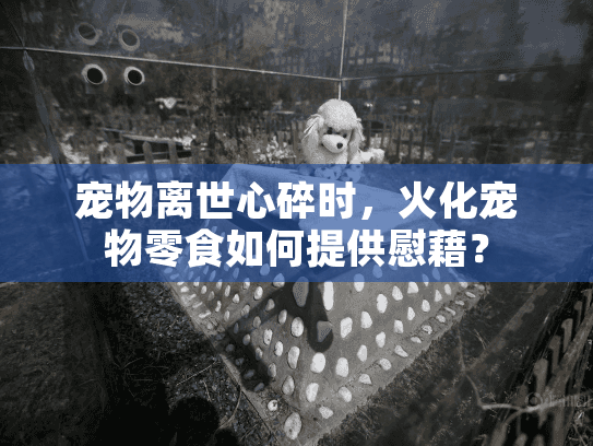 宠物离世心碎时，火化宠物零食如何提供慰藉？