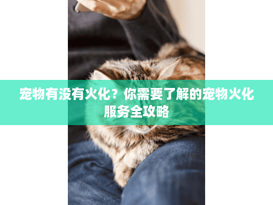 宠物有没有火化？你需要了解的宠物火化服务全攻略