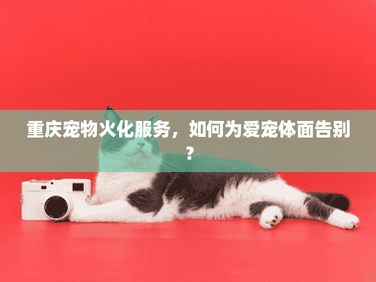重庆宠物火化服务，如何为爱宠体面告别？