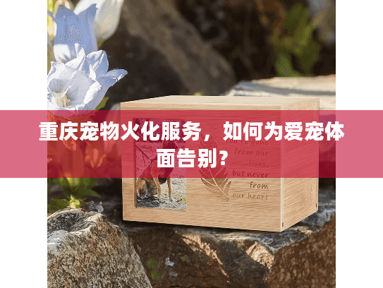 重庆宠物火化服务，如何为爱宠体面告别？