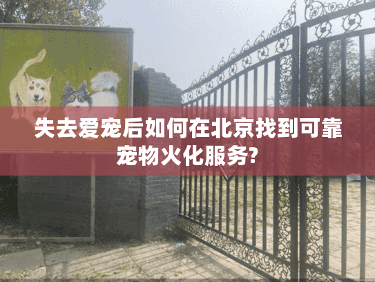 失去爱宠后如何在北京找到可靠宠物火化服务?
