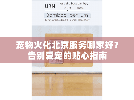 宠物火化北京服务哪家好？告别爱宠的贴心指南