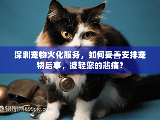 深圳宠物火化服务，如何妥善安排宠物后事，减轻您的悲痛？