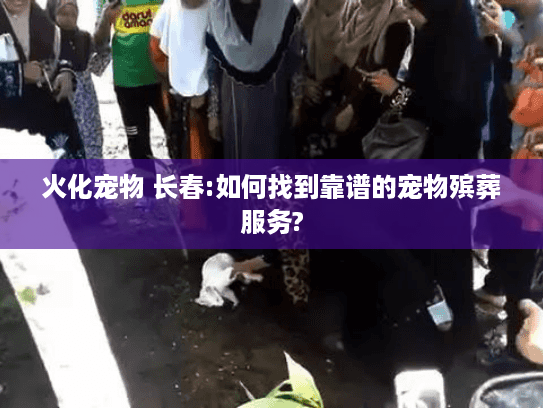 火化宠物 长春:如何找到靠谱的宠物殡葬服务?