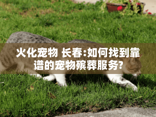 火化宠物 长春:如何找到靠谱的宠物殡葬服务?