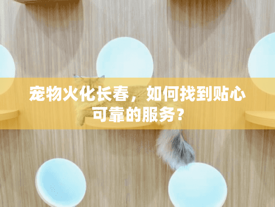 宠物火化长春，如何找到贴心可靠的服务？
