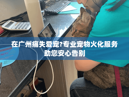 在广州痛失爱宠?专业宠物火化服务助您安心告别