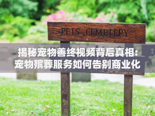 揭秘宠物善终视频背后真相:宠物殡葬服务如何告别商业化悲伤?