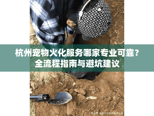 杭州宠物火化服务哪家专业可靠？全流程指南与避坑建议
