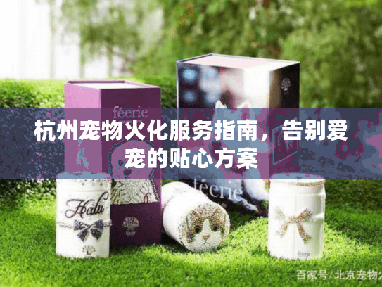 杭州宠物火化服务指南，告别爱宠的贴心方案