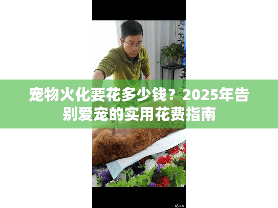 宠物火化要花多少钱？2025年告别爱宠的实用花费指南