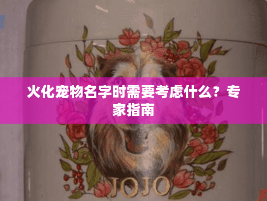 火化宠物名字时需要考虑什么？专家指南
