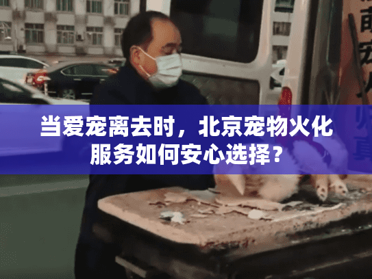 当爱宠离去时，北京宠物火化服务如何安心选择？
