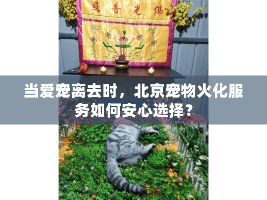 当爱宠离去时，北京宠物火化服务如何安心选择？