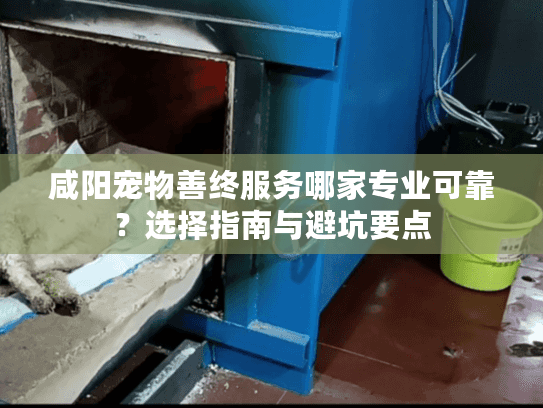 咸阳宠物善终服务哪家专业可靠？选择指南与避坑要点